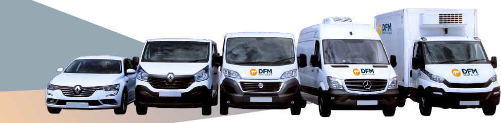 Alquiler De Coches Y Furgonetas | DFM Rent A Car